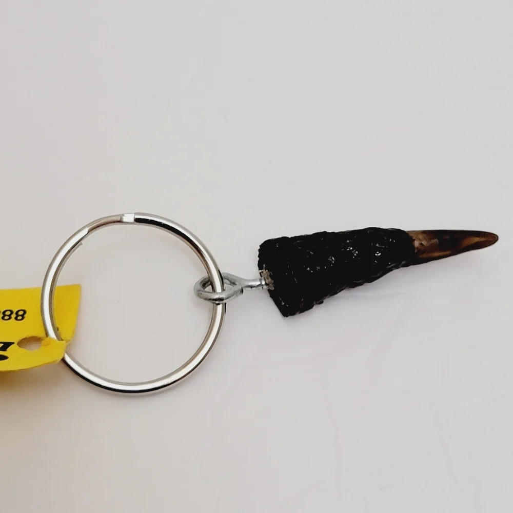 Genuine Gator Large Toe Claw Keyring/keychain
